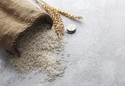 How Premium Basmati Rice Is Processed: From Seed Selection to Global Export