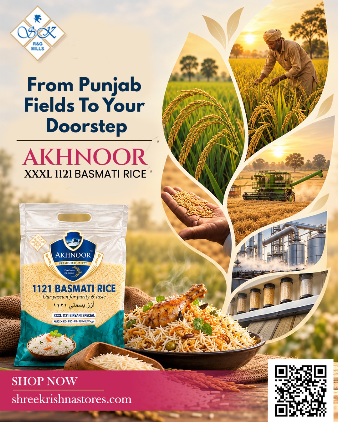 Premium Quality Rice in India: How to Choose the Right Rice